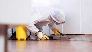 Pest Control Mombasa